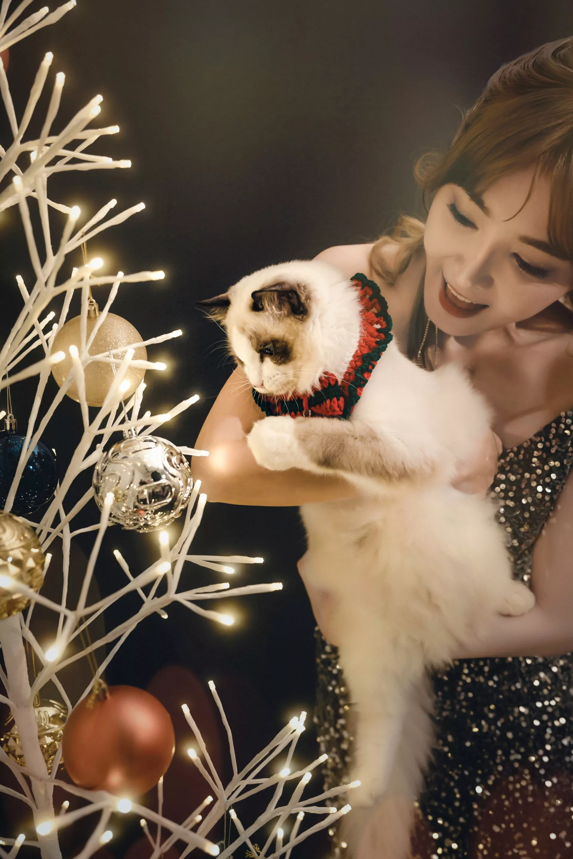陳子玄聖誕節寫真婚紗照wedding21韓式婚紗10寵物布偶貓-陳子玄-聖誕寫真